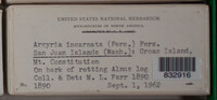 Image Associated With the Occurence
